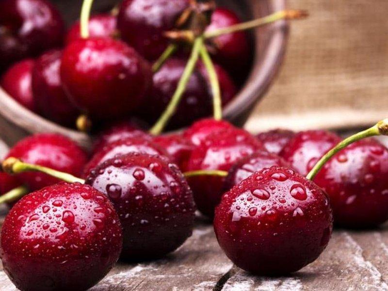 Вишня купить саженцы из питомника в Волгограде